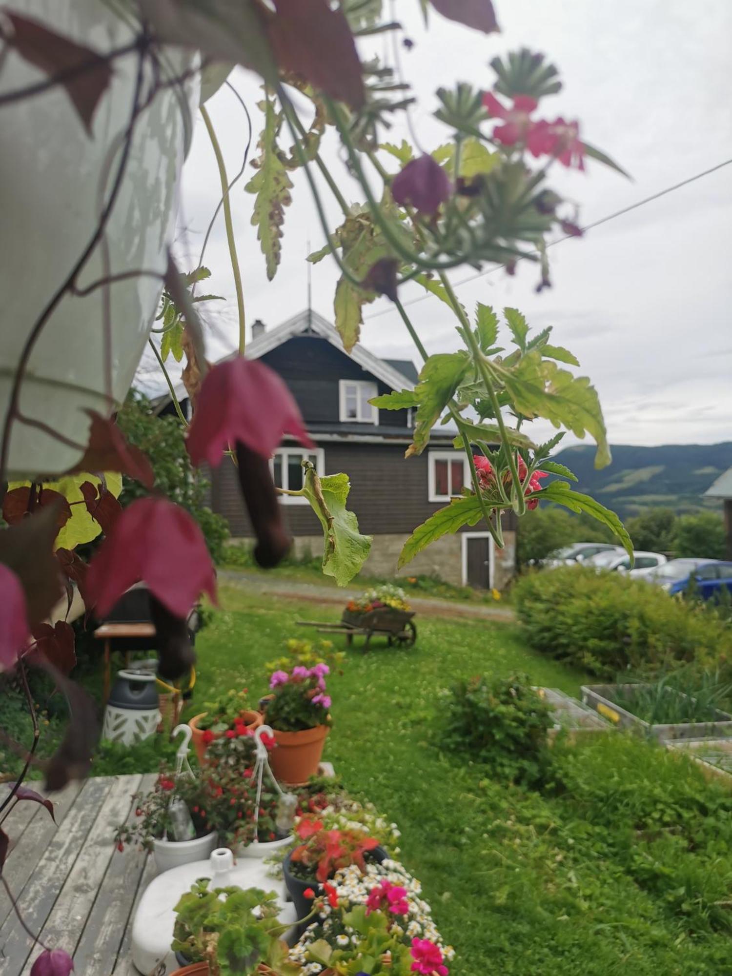 Hotel Eikre Fjellgard Hemsedal Exterior foto
